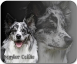 Mousepad Border Collie